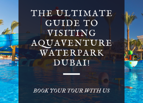 The ultimate guide to visiting Aquaventure Waterpark Dubai!